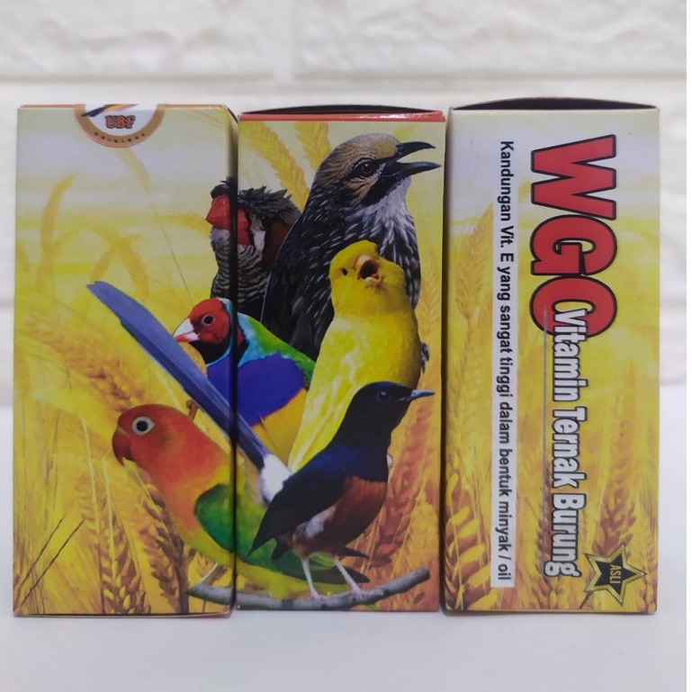 WGO vitamin breeding untuk burung kenari blackthroat murai kacer sanger