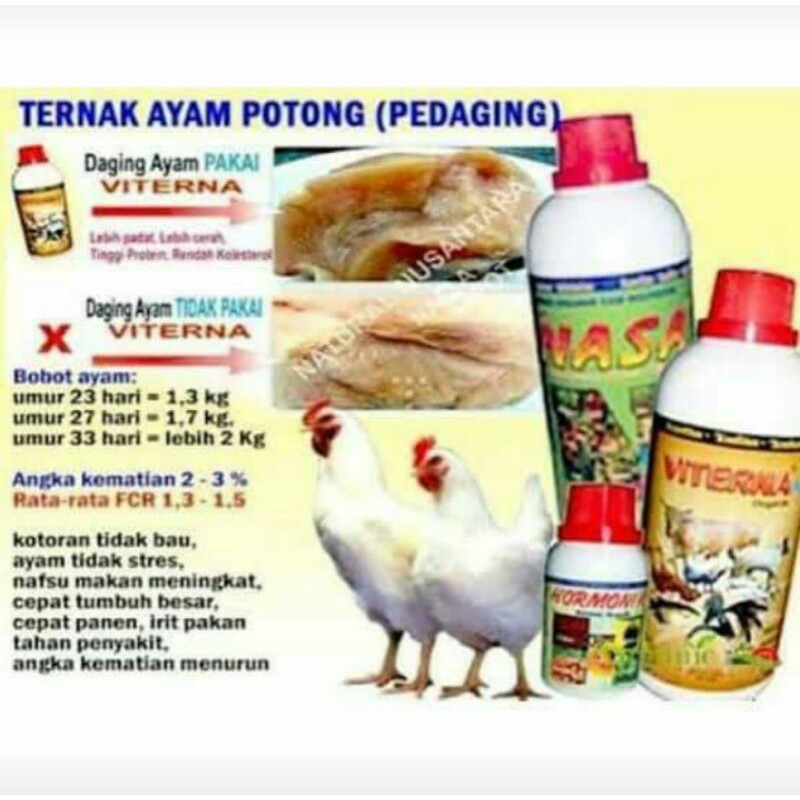 VITAMIN TERNAK AYAM PEDAGING (VITERNA)