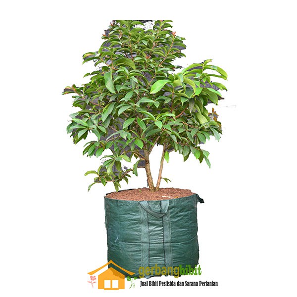 Planter Bag 100 Liter Hijau high quality