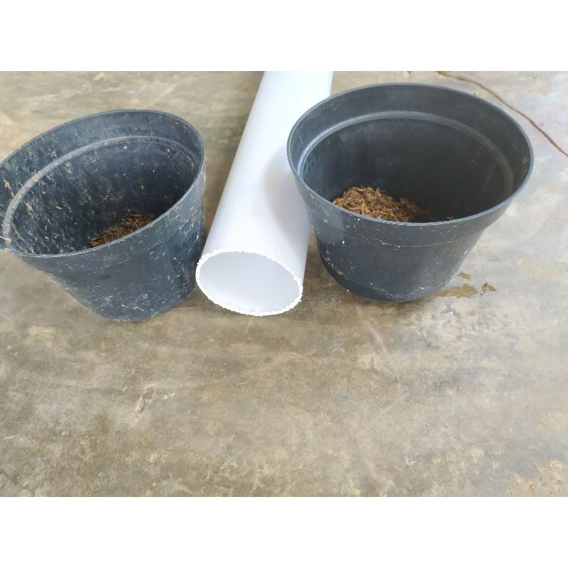 

packing Tambahan Paralon + pot