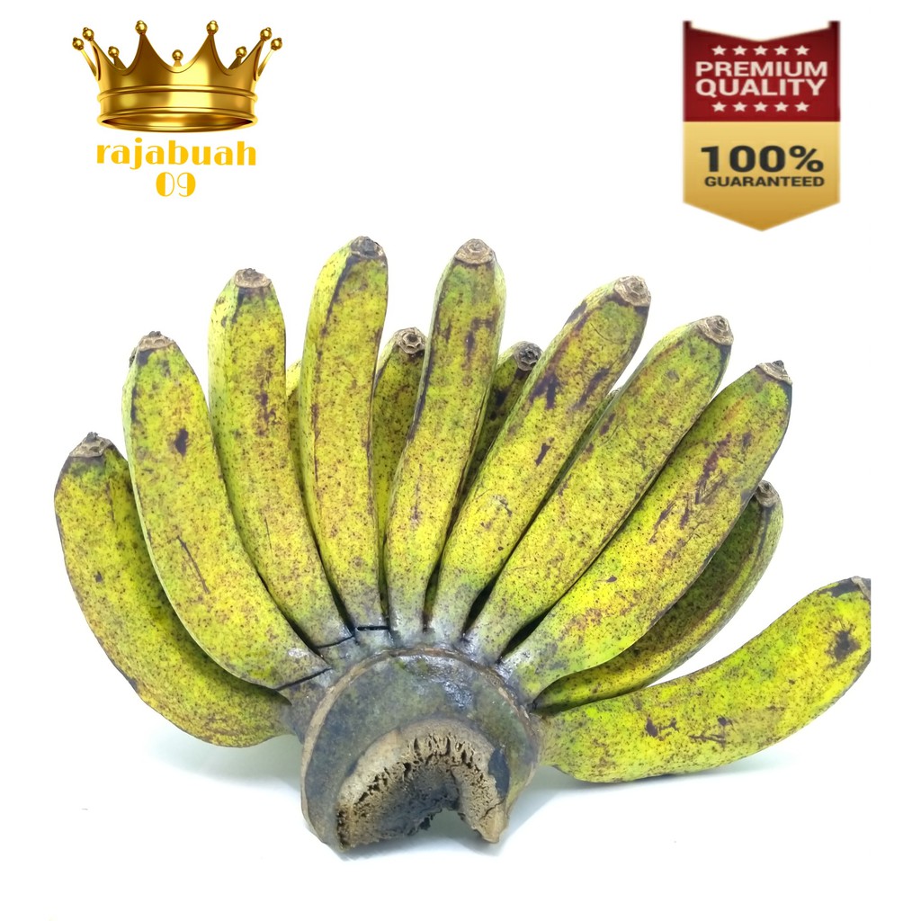 

PISANG BARANGAN MEDAN / Pisang Barangan