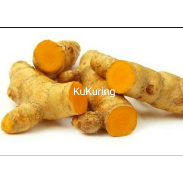 

KUKURING Kunyit segar 1kg