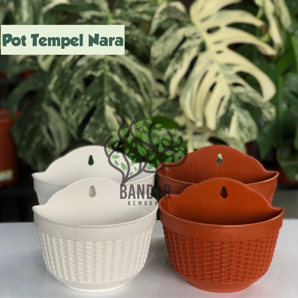 Pot Dinding Tempel Anyam Nara CJP 18 - Pot Dinding Tempel Tembok Putih Merah Bata - Vertikal Garden 