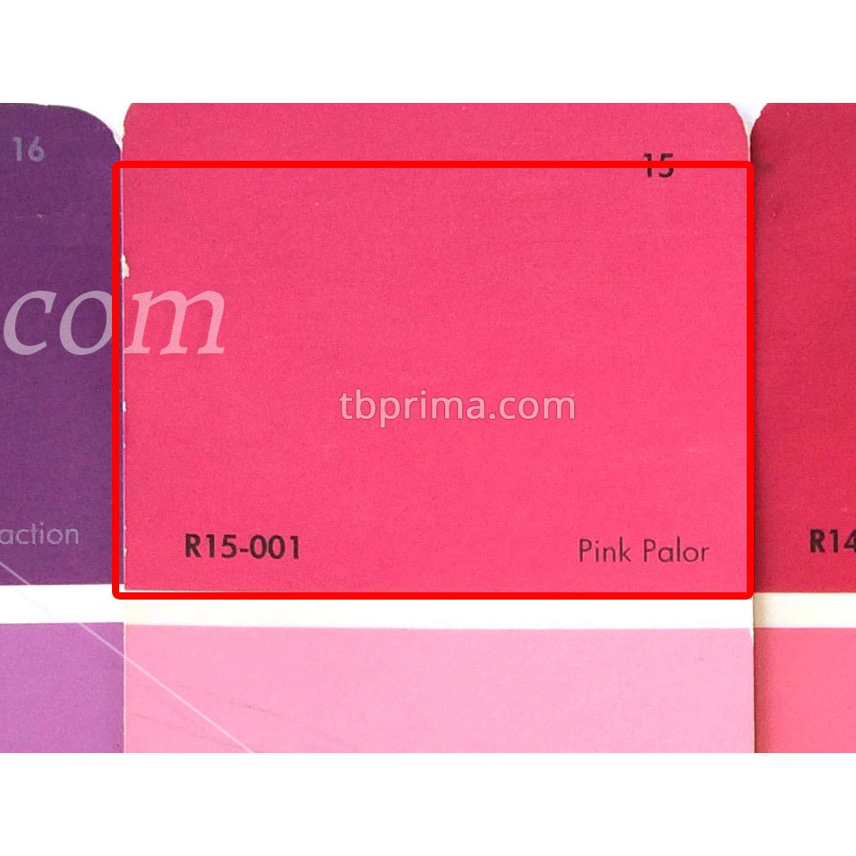 No Drop Tinting R15-001 Pink Palor 1 kg