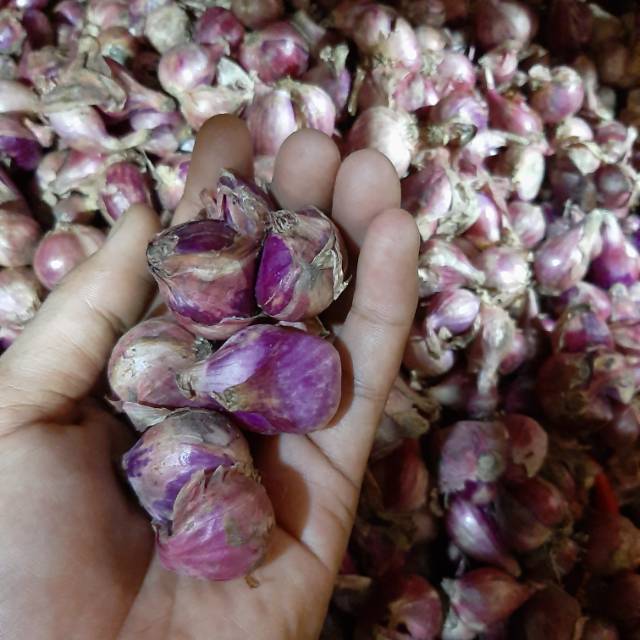 

Bawang merah brebes 500gram