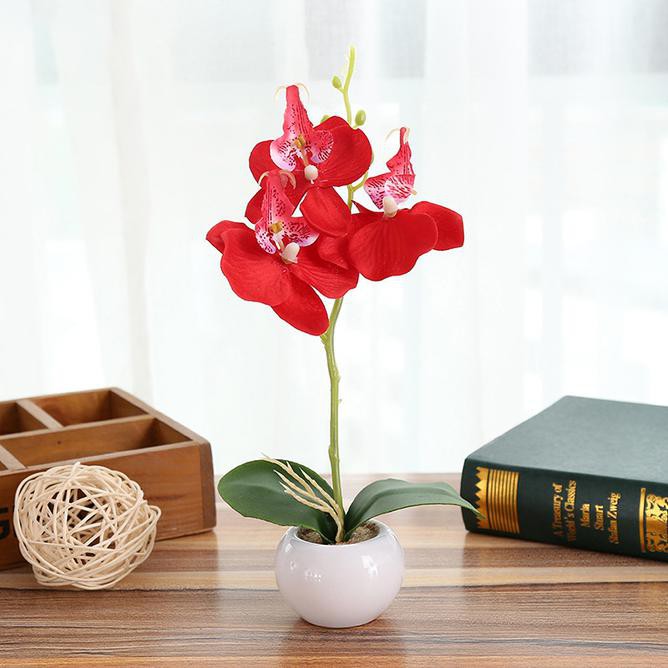Hot Item Aonez Bunga Hias Anggrek Phalaenopsis Bunga Dekorasi Dengan Pot - Merah >