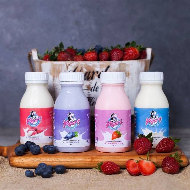 

Yoghurt Kandang Sapi (YoKaPi)
