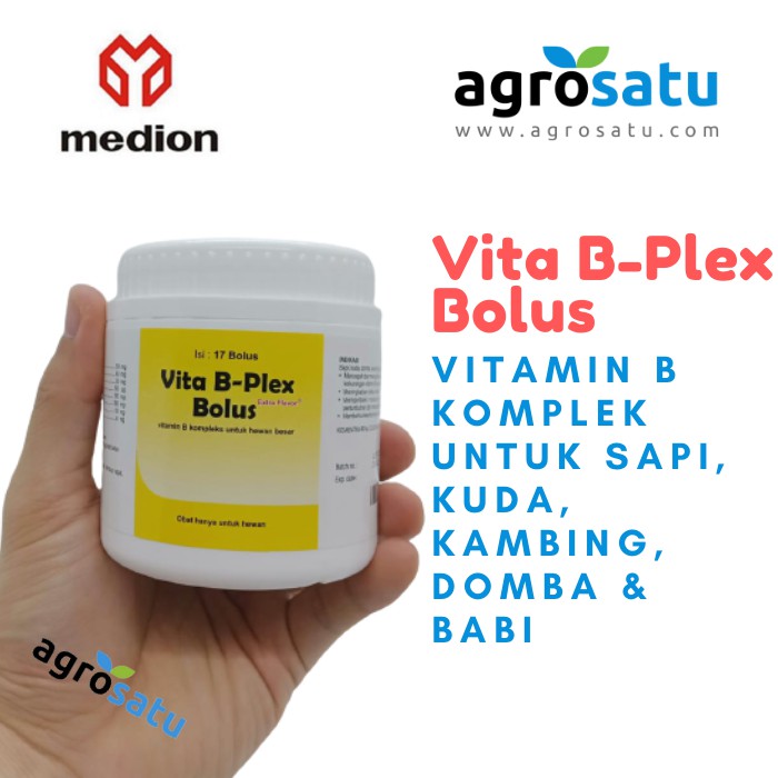 Vita B Plex Bolus Vitamin B Komplek Untuk Sapi Kuda Kambing Domba Babi Anti Defisiensi Multi Vitamin