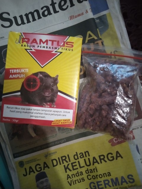Obat Pembasmi Tikus Paling Ampuh Ramtus Racun Tikus Mati Kering Tidak Bau Racun Tikus Mobil 12 Pack