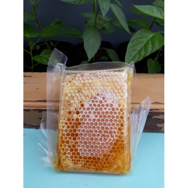 

MADU SARANG ASLI BERAT 500gr