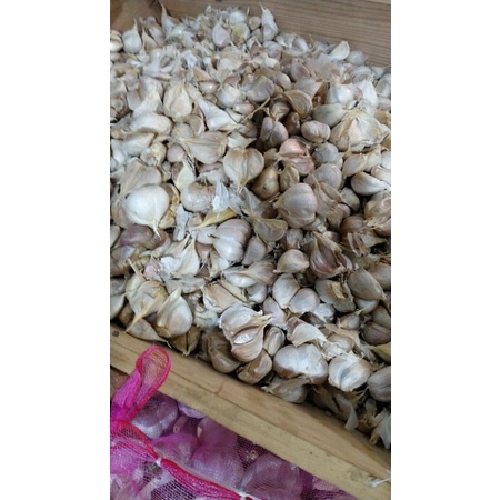 

bawang putih katingsuper