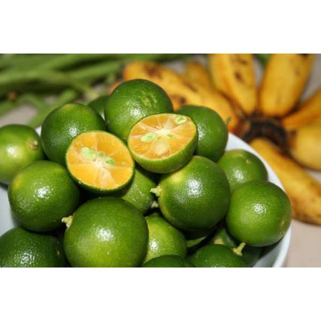 

500gr/ Jeruk Kasturi/ Sonkit/ Calamansi/ Lemon Cina /Jeruk Kunci / Lemon Cui/ Jeruk Songkit
