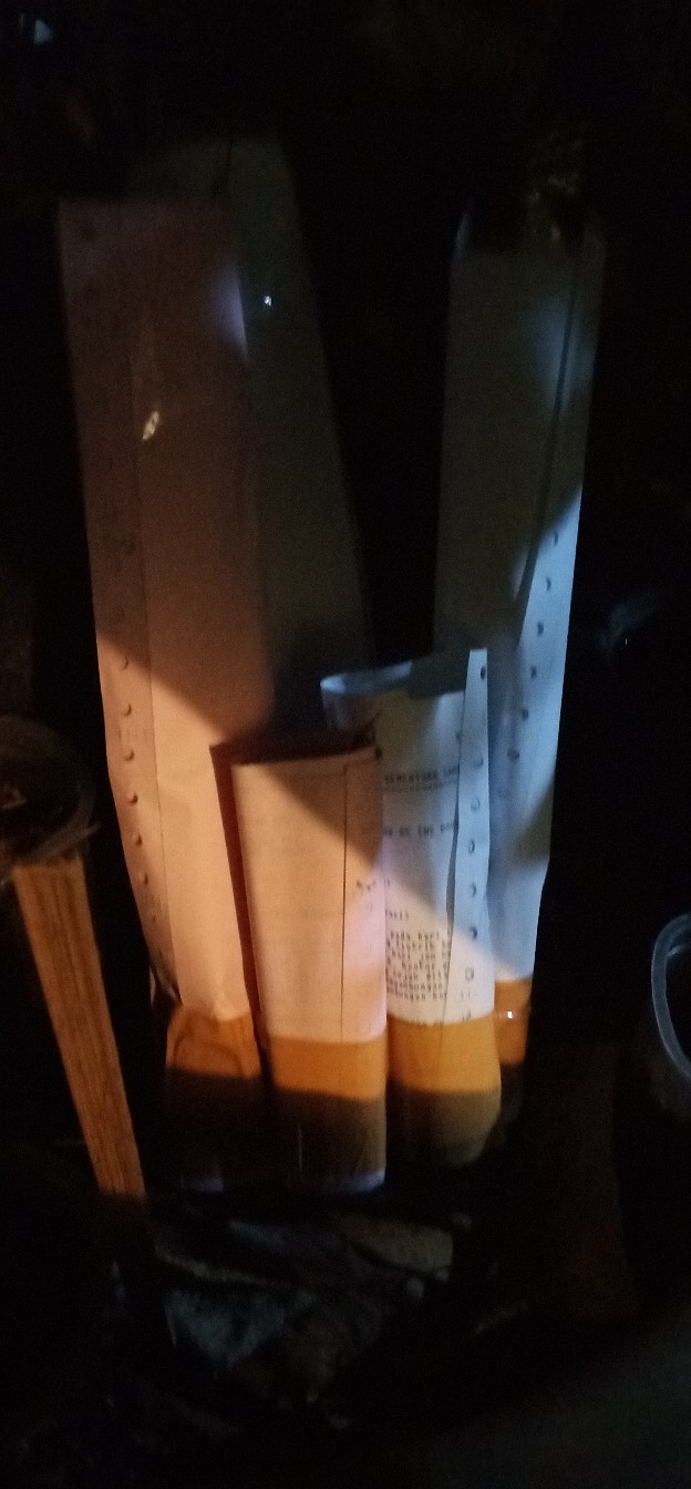 Tanaman Hias Agglonema Sarikit