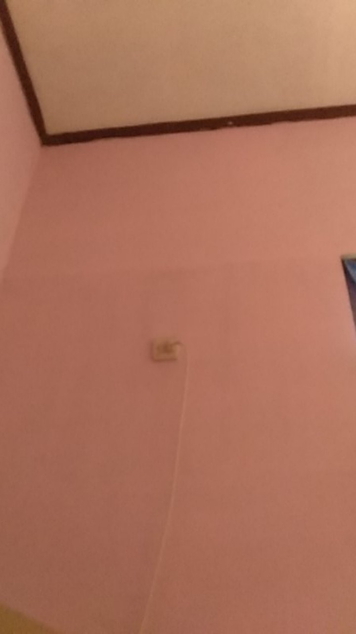 Bswart Batik Hrb026 Kenongo Hem Pendek Padi Pekalongan M L Xl Batik Pria Murah Modern Grosir