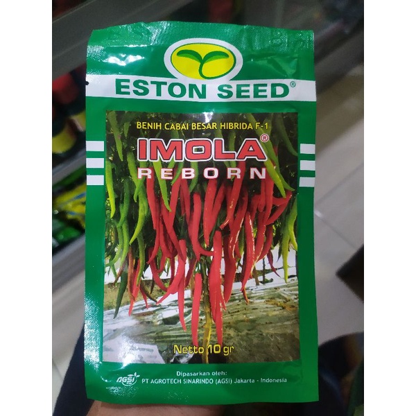 Benih Cabai besar Hibrida f-1 "IMOLA REBORN"