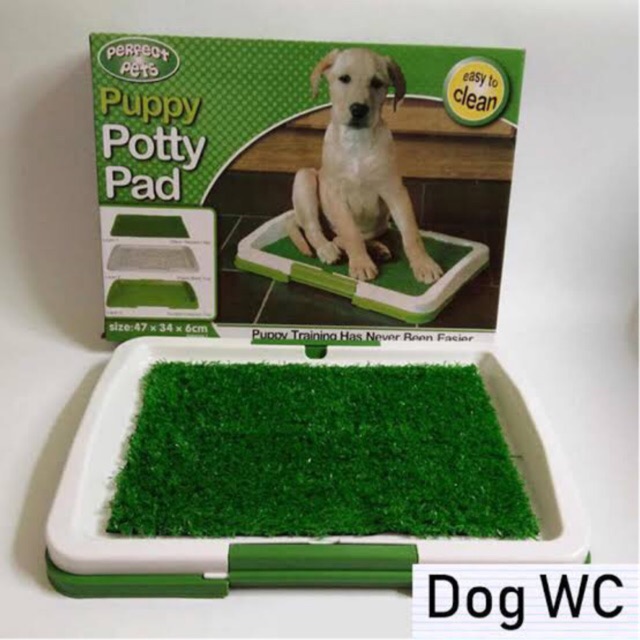 Potty pad traning puppy with grass mat / Toilet anjing