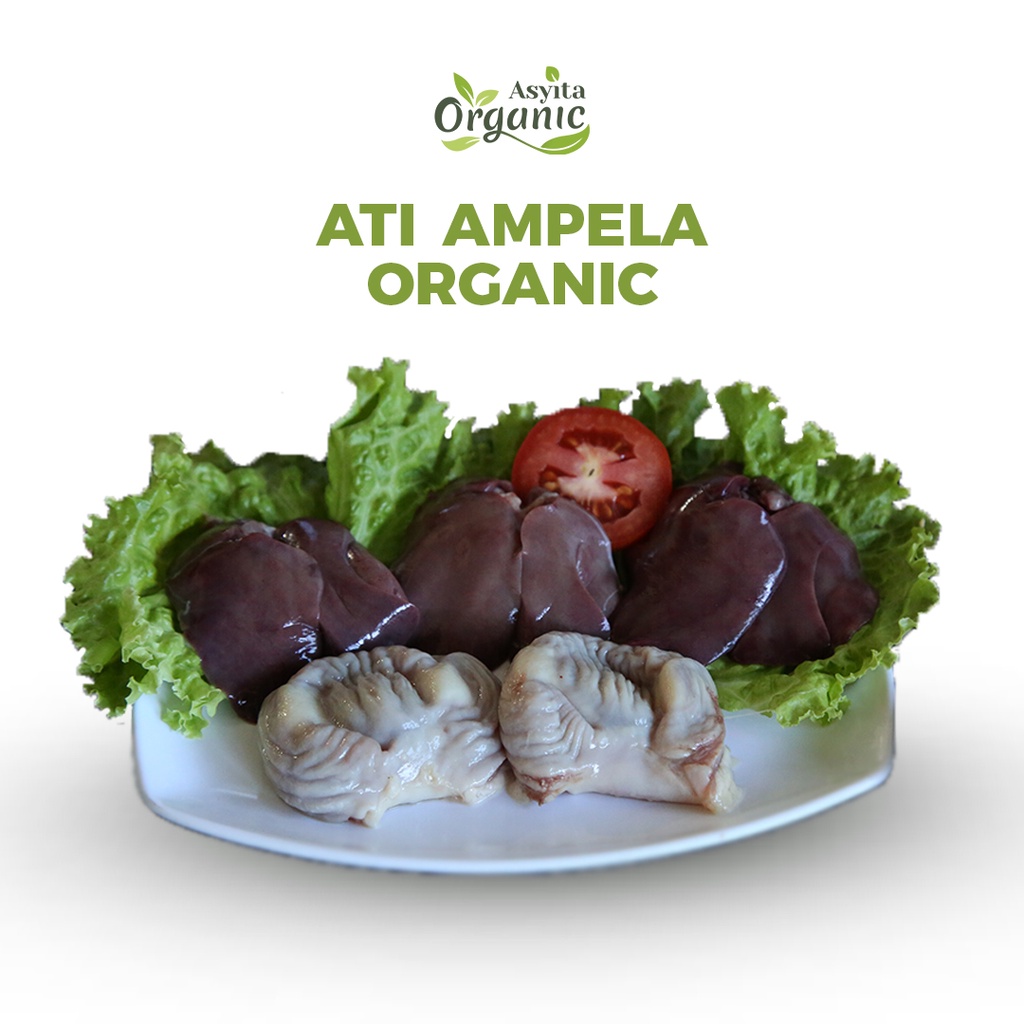 

Ati Ampela 900gr-1kg Ayam Organik Fresh & Frozen (Probiotik Organik) Berkualitas