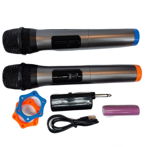 Microphone Profesional Wireless Mic Double FLECO M-12 / M-13 MIKROFON BLUETOOTH ORIGINAL FLECO / JINLONG JL-008