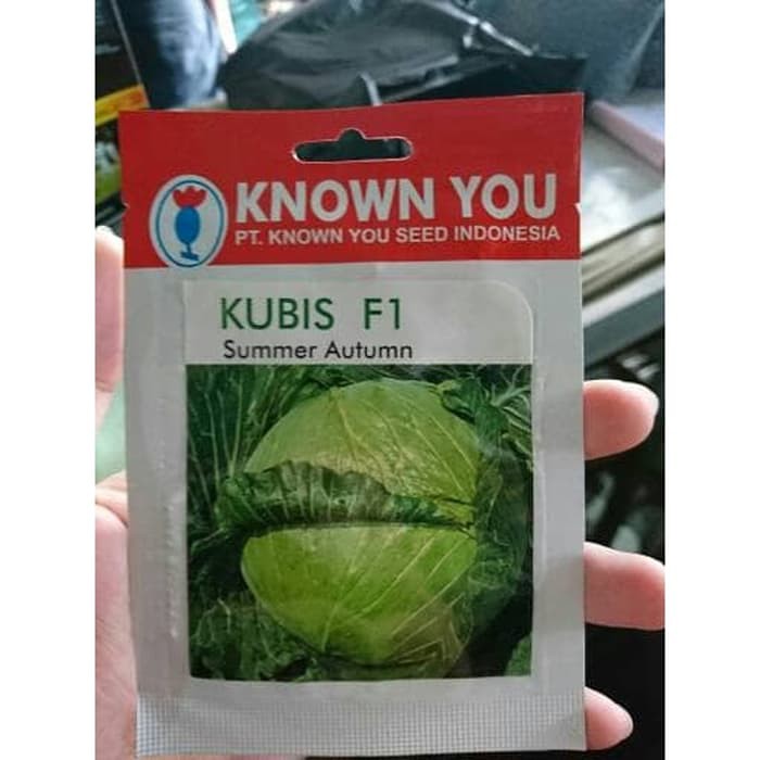 Benih / Cabbage Kubis Summer Autumn Known You Seed SP (150 Benih)