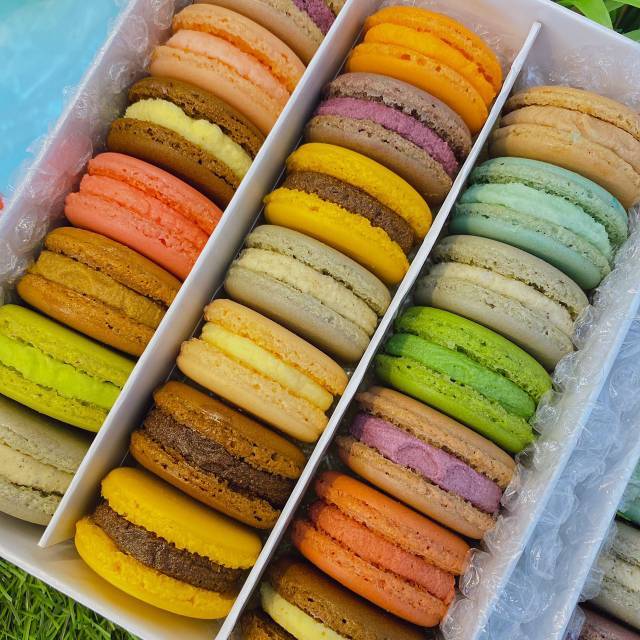 

Reguler macaron