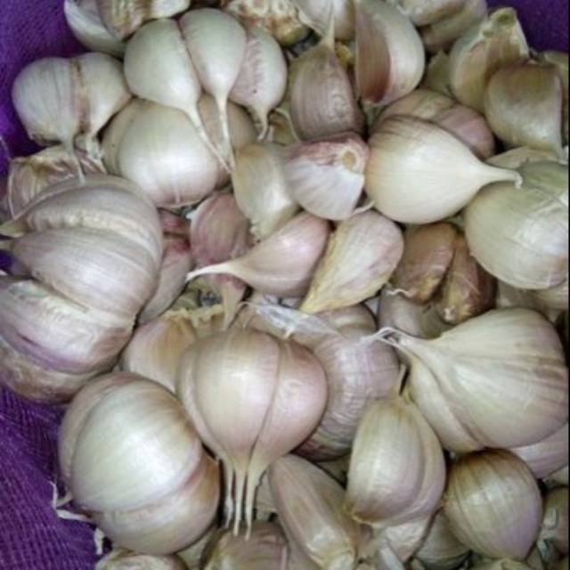 

Bawang putih cutting 1kg