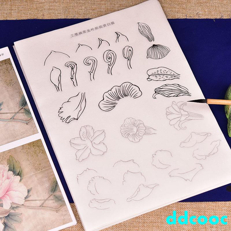 Lukisan Bunga Teratai Peony Line Warna Putih Untuk Pemula Pelajar