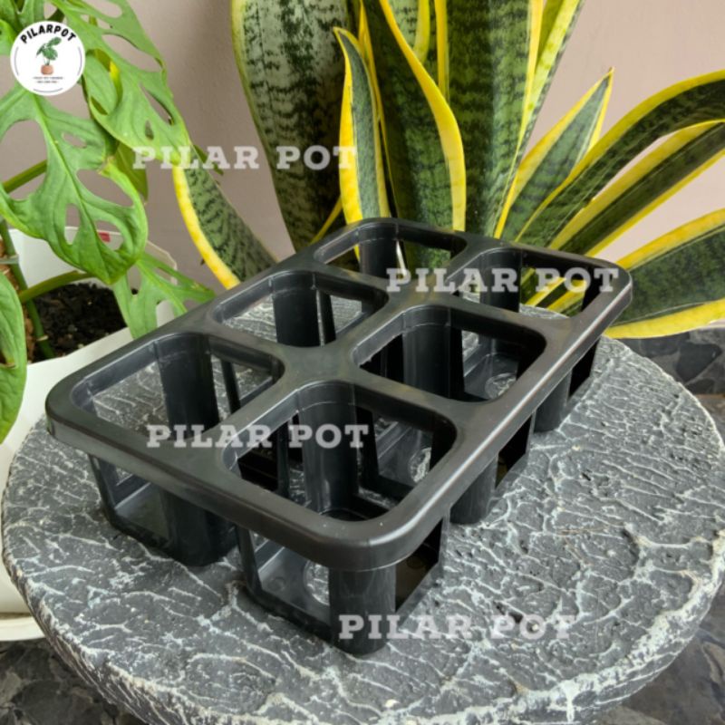 Tray pot nkt kotak 7CM (tanpa pot) | nkt kotak 7CM | tray semai bibit