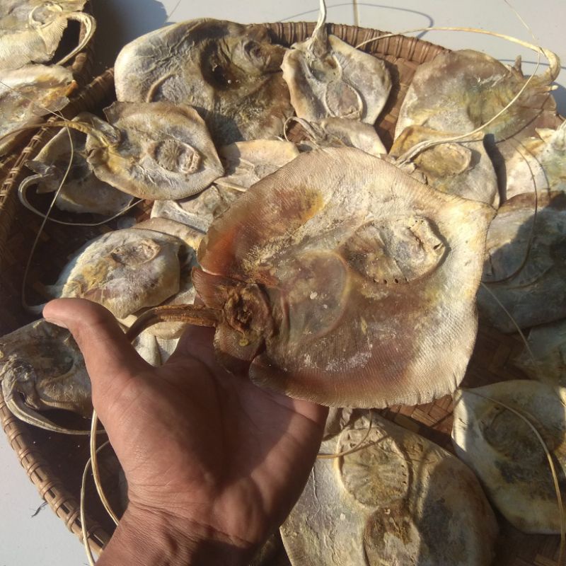 

ikan pari/ikan piring kering/berat 500gr