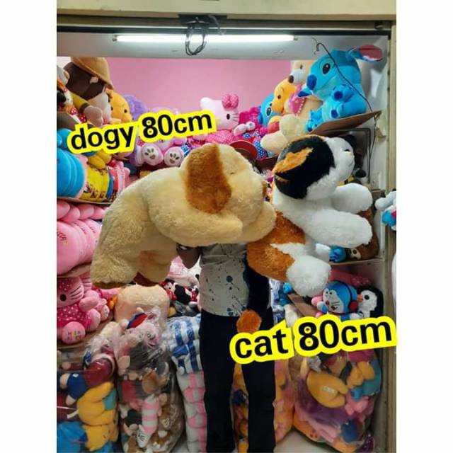 BONEKA ANJING BESAR BONEKA KUCING BESAR