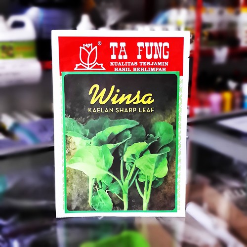 Benih Kailan Kaelan Winsa 20 gram – Ta Fung