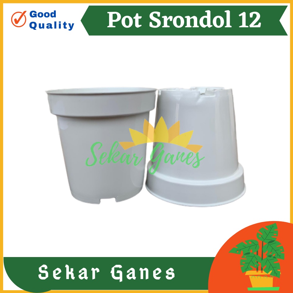 Pot Tinggi Srondol 12 PUTIH - Pot Tinggi Usa Effiel 18 20 25 Lusinan Pot Tinggi Tirus 15 18 20 30 35 40 50 Cm Paket murah isi 1 lusin pot bunga plastik pot tanaman Pot Bibit Besar Mini Kecil Pot Srondol Pot Bunga Termurah Bahan Bagus