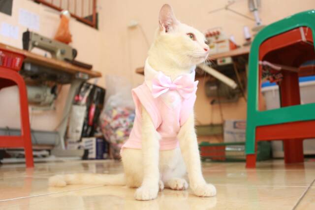 Kaos tuxedo baby pink untuk kucing dan anjing /Jual Baju Kucing Terlengkap &amp; Berkualitas size S-XL