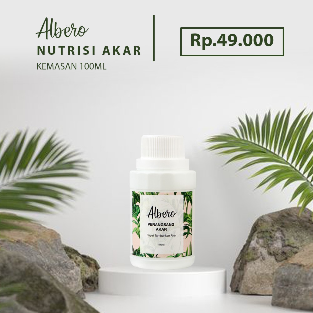 Albero perangsang/nutrisi akar tanaman hias