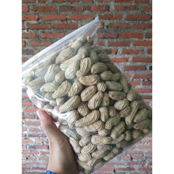 kacang bendo kacang sangrai kacang kulit sangrai