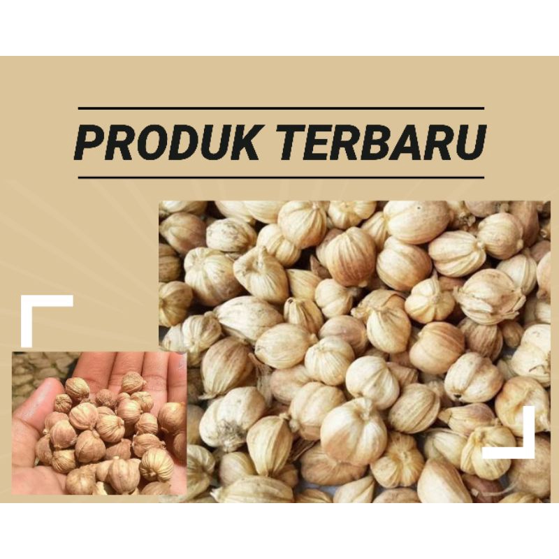 

kapulaga kering 500 grm