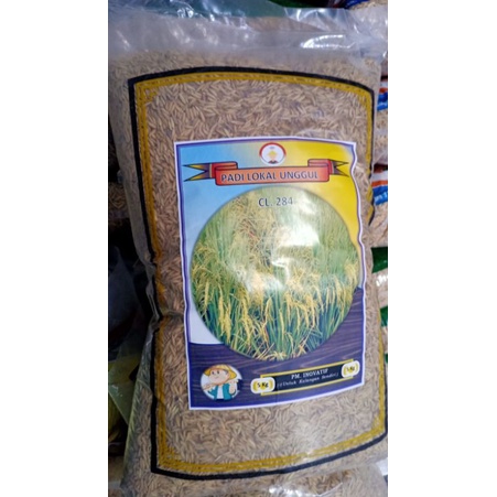 Benih CL 284 bibit padi cl284 5kg