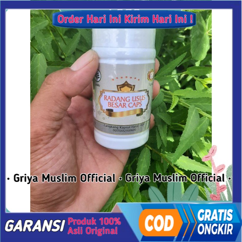 

Herbal Radang Usus Besar Asli Alami Untuk Mengobati Sakit Usus Besar.