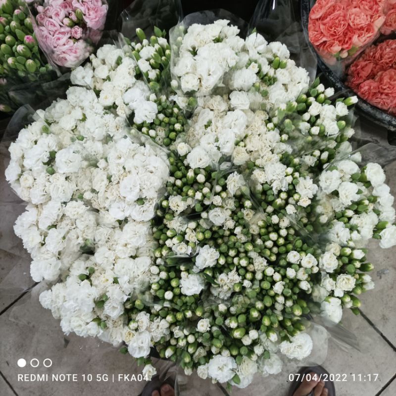 Jual Bunga Carnation/Anyelir (Bunga potong lokal) | Shopee Indonesia