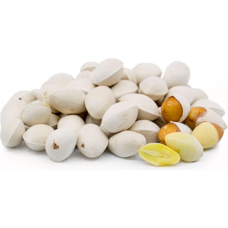 

Kacang Gingko Nut White Segar 1 kg