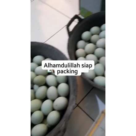 

Telur Bebek mentah Fresh langsung dari perternakan
