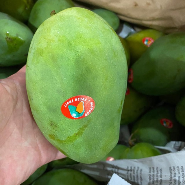 

Mangga harum manis super