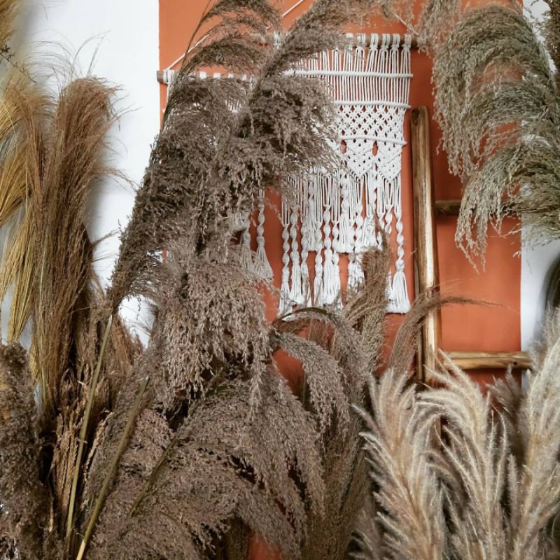 Pampas Jumbo Coklat/Abu Coklat