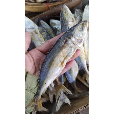 

Ikan Asin Gambolo 100 gr