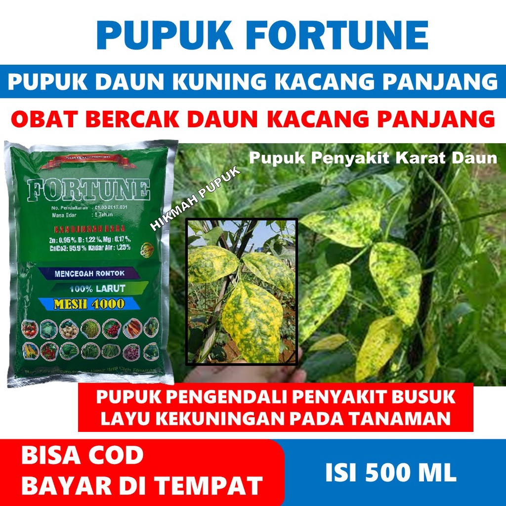 PUPUK TEPUNG FORTUNE 1 KG PUPUK DAUN KUNING KACANG PANJANG Cabe, Jagung Busuk Akar, Batang dan Buah Kacang - Pupuk Tepung Atasi Hama Patek Kacang Panjang, Busuk Akar, Batang dan Buah, Pupuk Tepung Obat Hama Daun Kuning Kacang Panjang TERLARIS