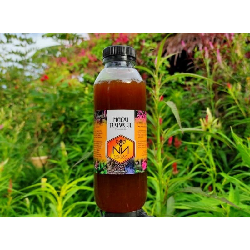 

Madu Teuweul NN/Trigona NN 700gr (Madu Ternak)