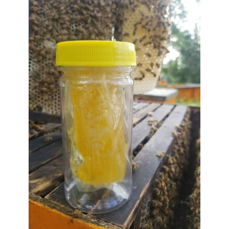 

Sarang Madu Asli Melifera 100 gr [100 gr]