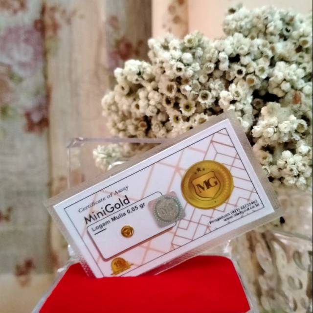 MiniGold 0,05gram
