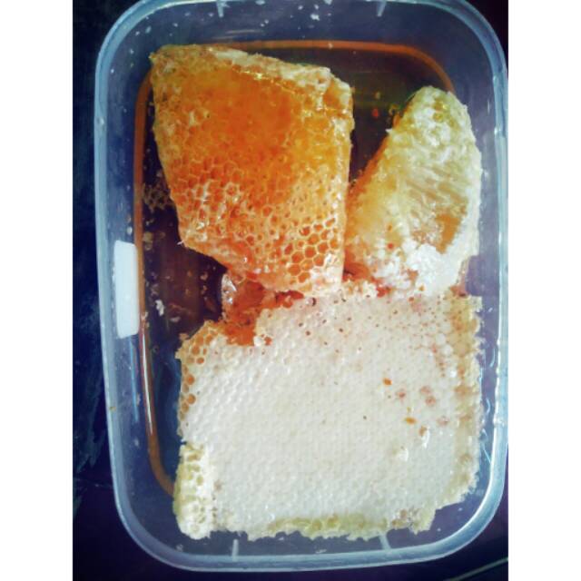 

Sarang Madu Murni