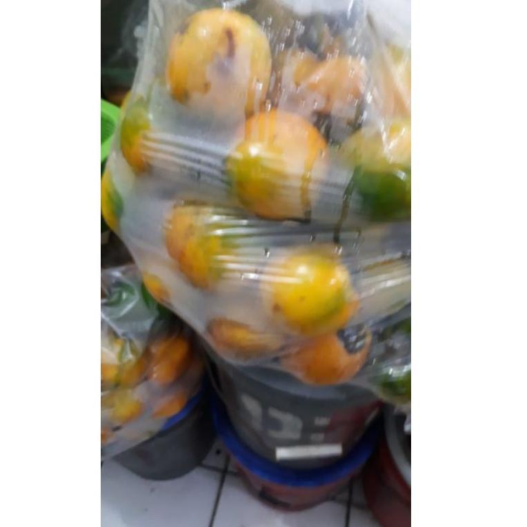 

[KODE PRODUK AKM0S6346] TERONG ASAM KALIMANTAN / TERONG DAYAK