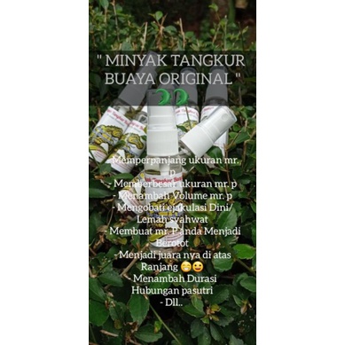 MINYAK TANGKUR BUAYA ORIGINAL